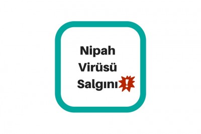 Nipah Virüsü Nedir? Nipah Virüsü Nasıl Bulaşır?