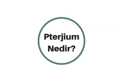 Göz Eti Büyümesi (Pterjium) Neden Olur? Belirtileri ve Tedavisi